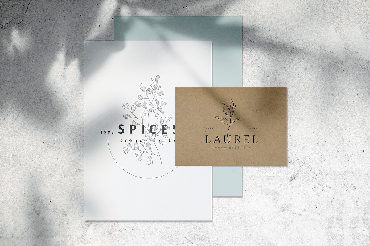 Spices. 30 Premade logos & branches, a Branding & Logo Template by Merfin (Photo 2 of 8)