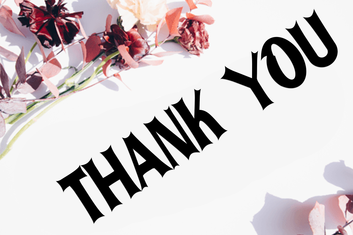 Christmas Display, a Script Font by InermediaSTUDIO (Photo 2 of 8)