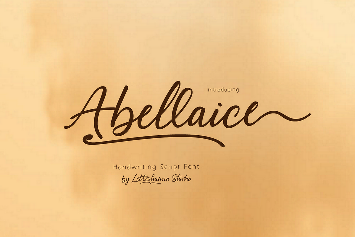 Abellaice Script Font, a Handwritten Font by Letterhanna Studio (Photo 10 of 10)