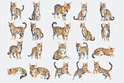 Bengal Cat Clipart, an Animal Illustration by Crafts of The Moon (Thumbnail 4 of 4)