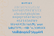 BOTAKY Romellast, a Serif Font by alit design (Thumbnail 17 of 19)