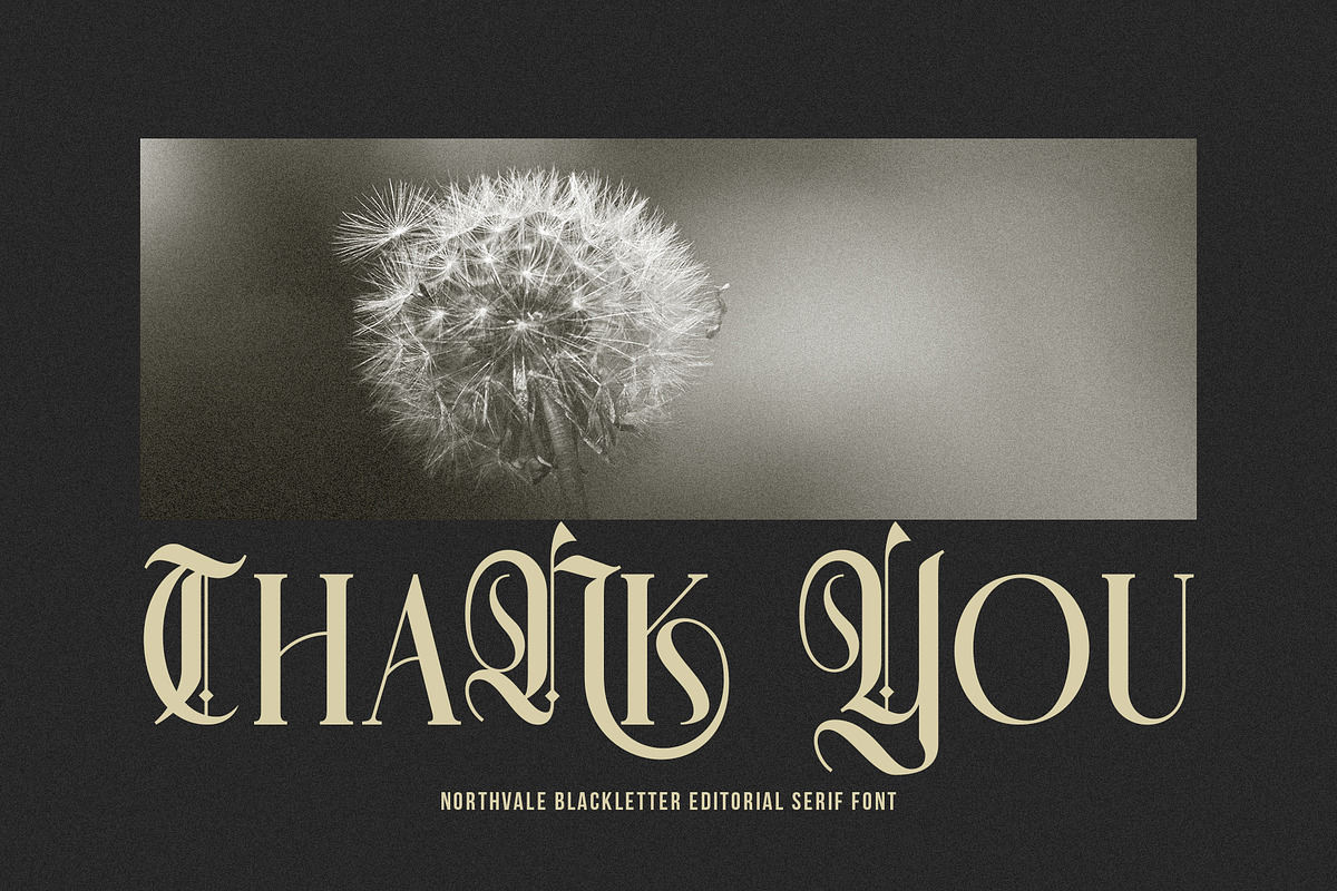 Northvale Blackletter Serif Font, a Blackletter Font by Heinzel Std (Photo 10 of 10)