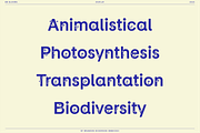 BN Blooms, a Sans Serif Font by Bnick (Thumbnail 8 of 17)