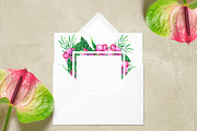 Tropic watercolor flower set, a Decorative Illustration by Watercolor & sketches (Thumbnail 6 of 7)