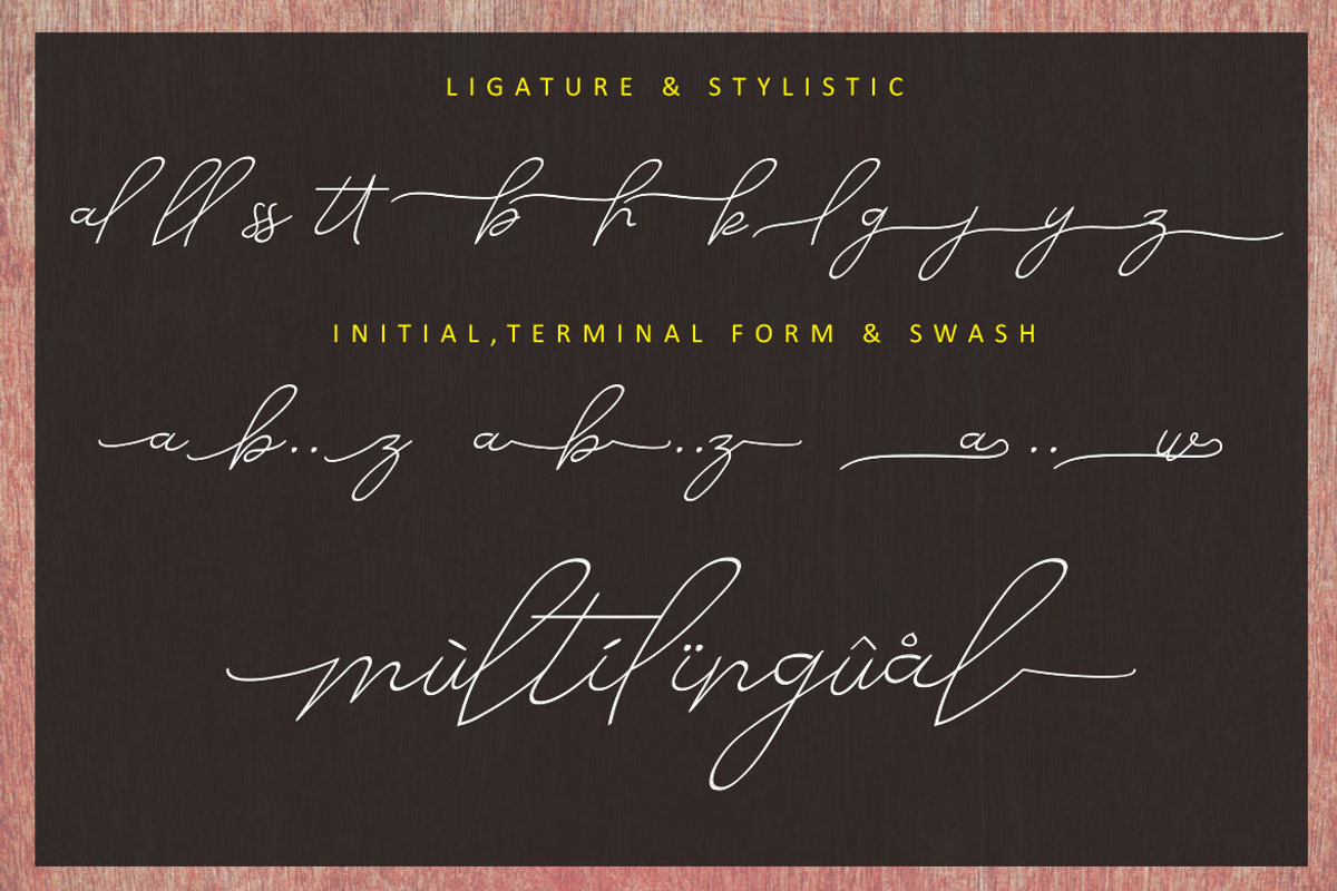 Alesana Signature, a Script Font by AMINMARIO (Photo 13 of 14)