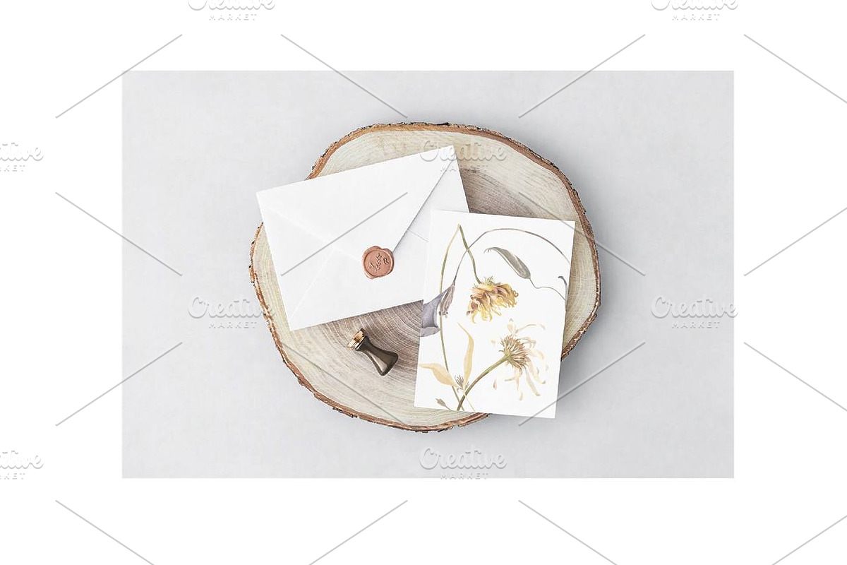 Dry Flowers Watercolor Clipart, a Decorative Illustration by NKTKNS (Photo 6 of 6)