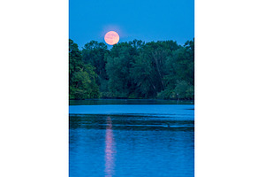Harvest moon rises over the lake in, a Nature Photo by Backyard Stock