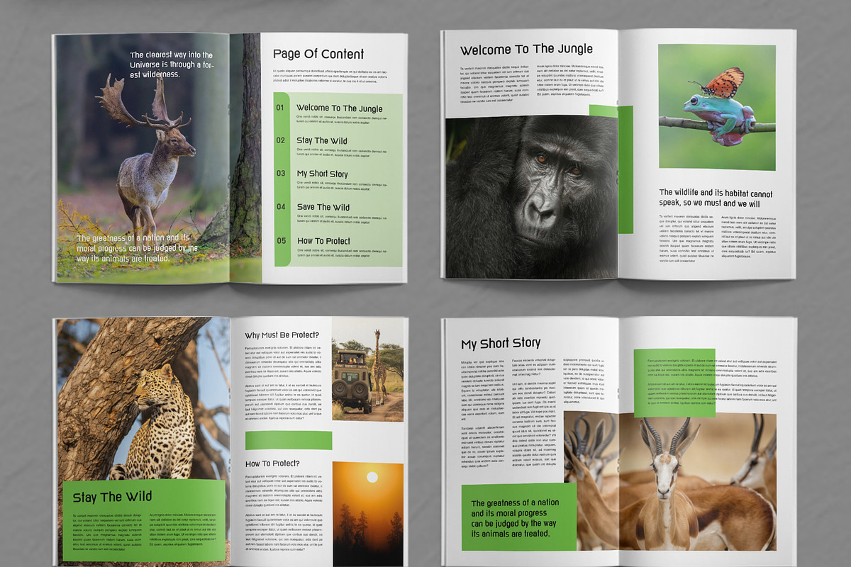 Wild Life Magazine Template, a Magazine Template by ContestDesign (Photo 2 of 4)