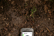 iPhone Dirt Mockup Set, an iPhone Mockup by Mockura (Thumbnail 3 of 5)