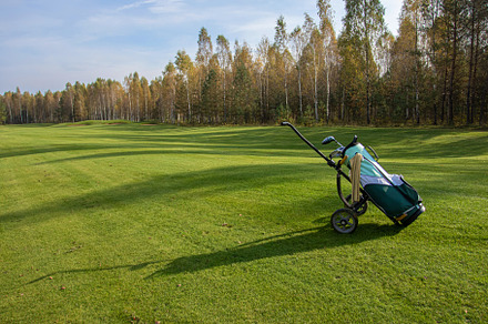 Playing golf. Golf course