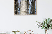 Autumn nature photography set, a Nature Photo by pictures for you (Thumbnail 4 of 22)
