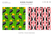 Birds Planet Geometric Patterns, a Pattern Graphic by Designnina Shop (Thumbnail 5 of 12)