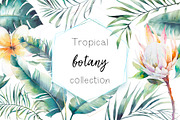 Tropical botany collection, an Object Illustration by Eisfrei (Thumbnail 1 of 6)