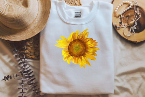 Summer Sunflowers Illustrations