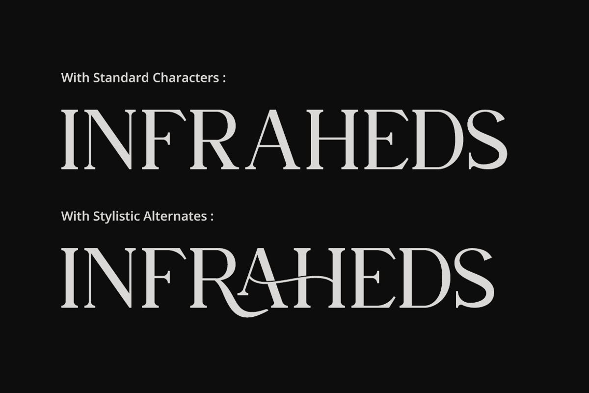 Tarahon - Business Font, a Serif Font by RockboyStd (Photo 7 of 12)