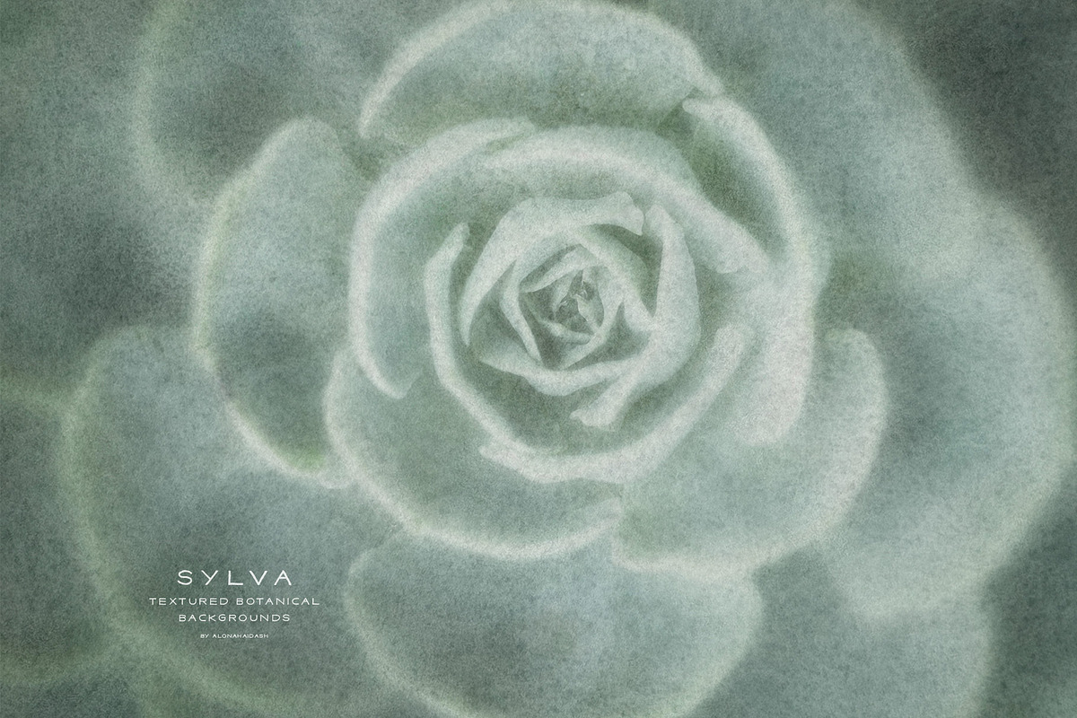 Sylva Textured Botanical Backgrounds, a Background Graphic by alonahaidash (Photo 3 of 15)