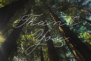 My Dear Script, a Script Font by StoricType (Thumbnail 9 of 9)