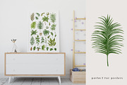 Vintage Botanical clipart, an Object Graphic by mila_leev (Thumbnail 5 of 8)