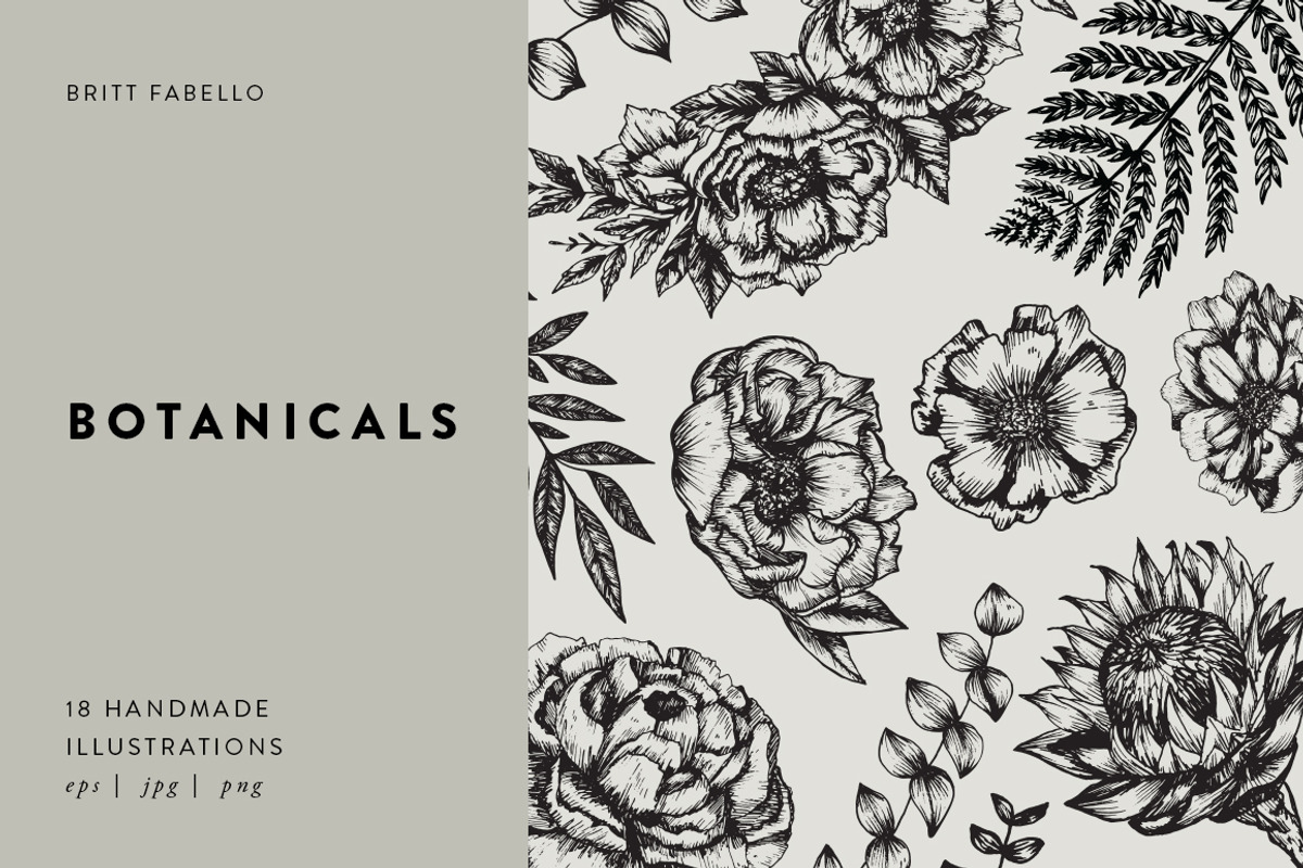 Hand-Illustrated Botanicals Vectors, an Illustration by Britt Fabello (Photo 1 of 5)