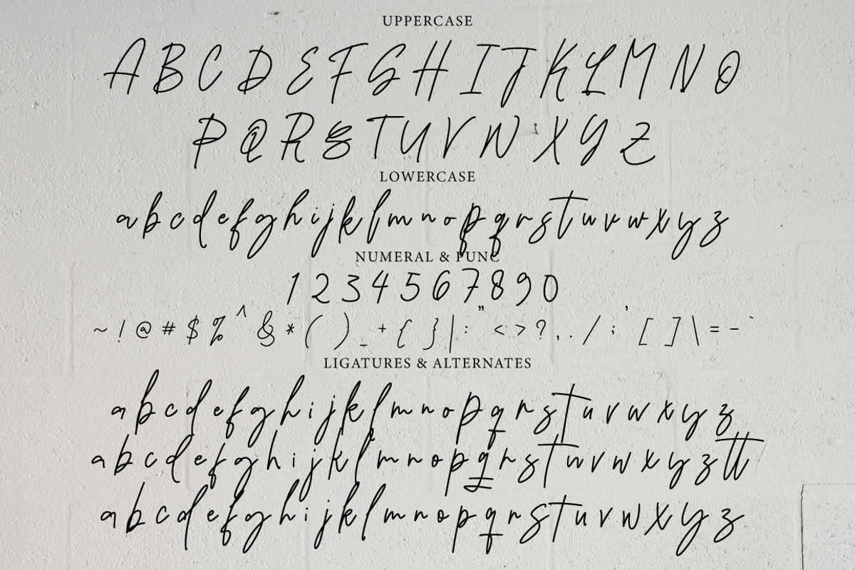 Biyenka - Handwritten Signature, a Handwritten Font by tebaltipislab (Photo 5 of 8)