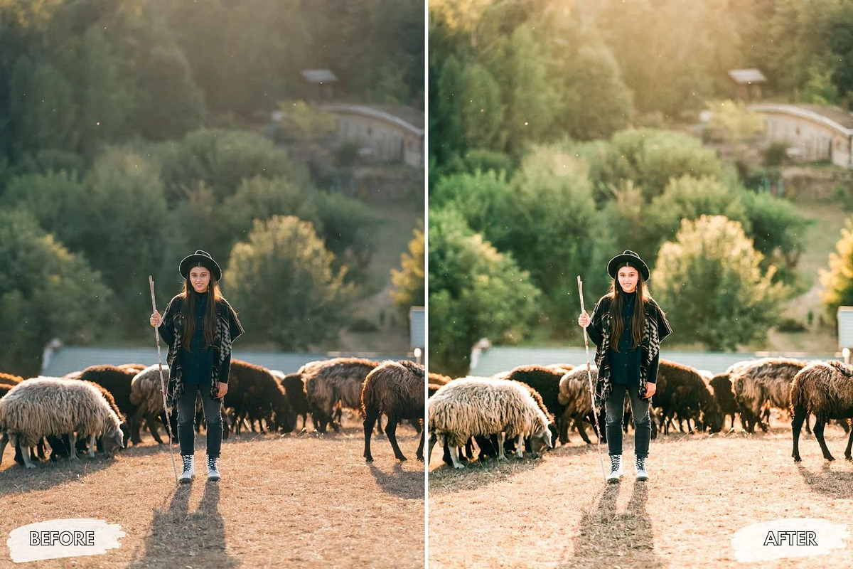 10 Sunlit Meadow Lightroom Presets, a Preset Add-On by LucaTheme (Photo 5 of 9)