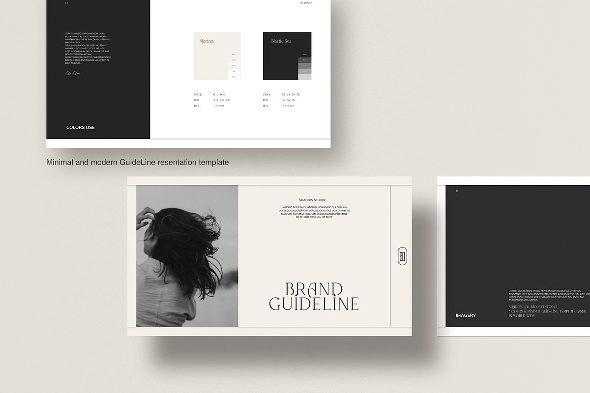 Brand Guideline Presentation, a Presentation Template by evgenystudio (Photo 3 of 11)