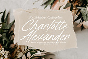 Starlight Holiday Handwritten Font, a Script Font by Letterena Studios Script (Thumbnail 18 of 20)