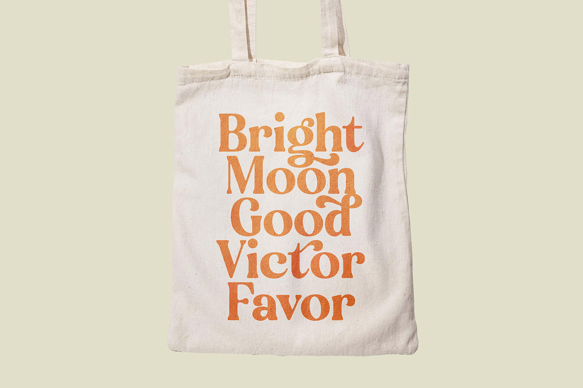 Engray Danton Modern Serif Font, a Serif Font by timelesstype.co (Photo 14 of 20)