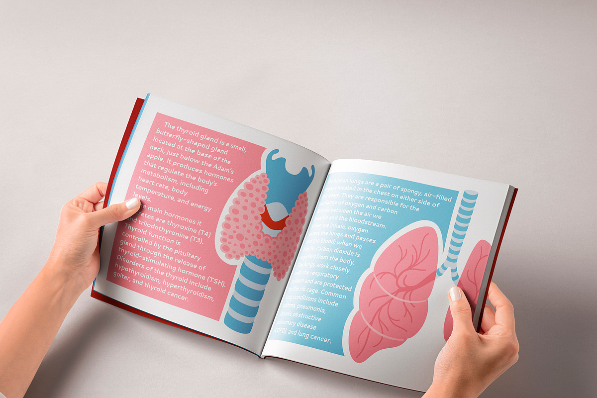 Human internal organs illustration, a Healthcare Illustration by Neliakott ♥ (Photo 5 of 7)