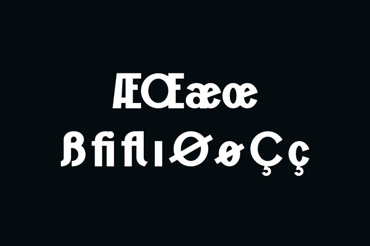 Mono Qaftots Modern Bold Brand Font, a Sans Serif Font by QR Design Studio (Photo 12 of 16)