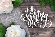 Spring lettering overlays collection, a Graphic by catary art (Thumbnail 2 of 4)