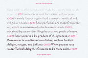 Rosewater (Variable), a Sans Serif Font by Rain Foundry (Thumbnail 4 of 10)
