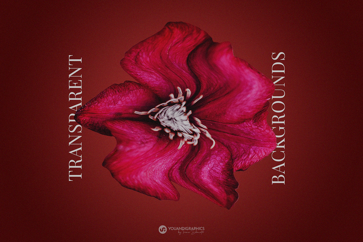 Modern Renaissance Florals, a Graphic by Youandigraphics (Photo 6 of 13)