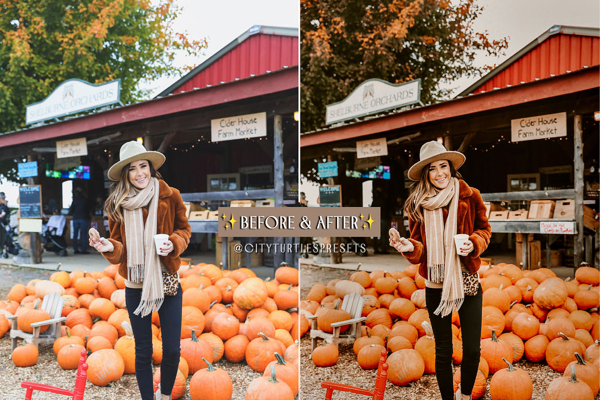 Rustic Fall Moody Lightroom Presets, an Action Add-On by CityTurtles (Photo 10 of 10)