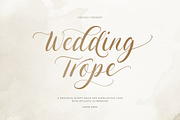 Wedding Trope - Romantic Script, a Script Font by Sarid Ezra (Thumbnail 1 of 10)