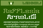 Falling Leaves font, a Font by weknow (Thumbnail 4 of 8)