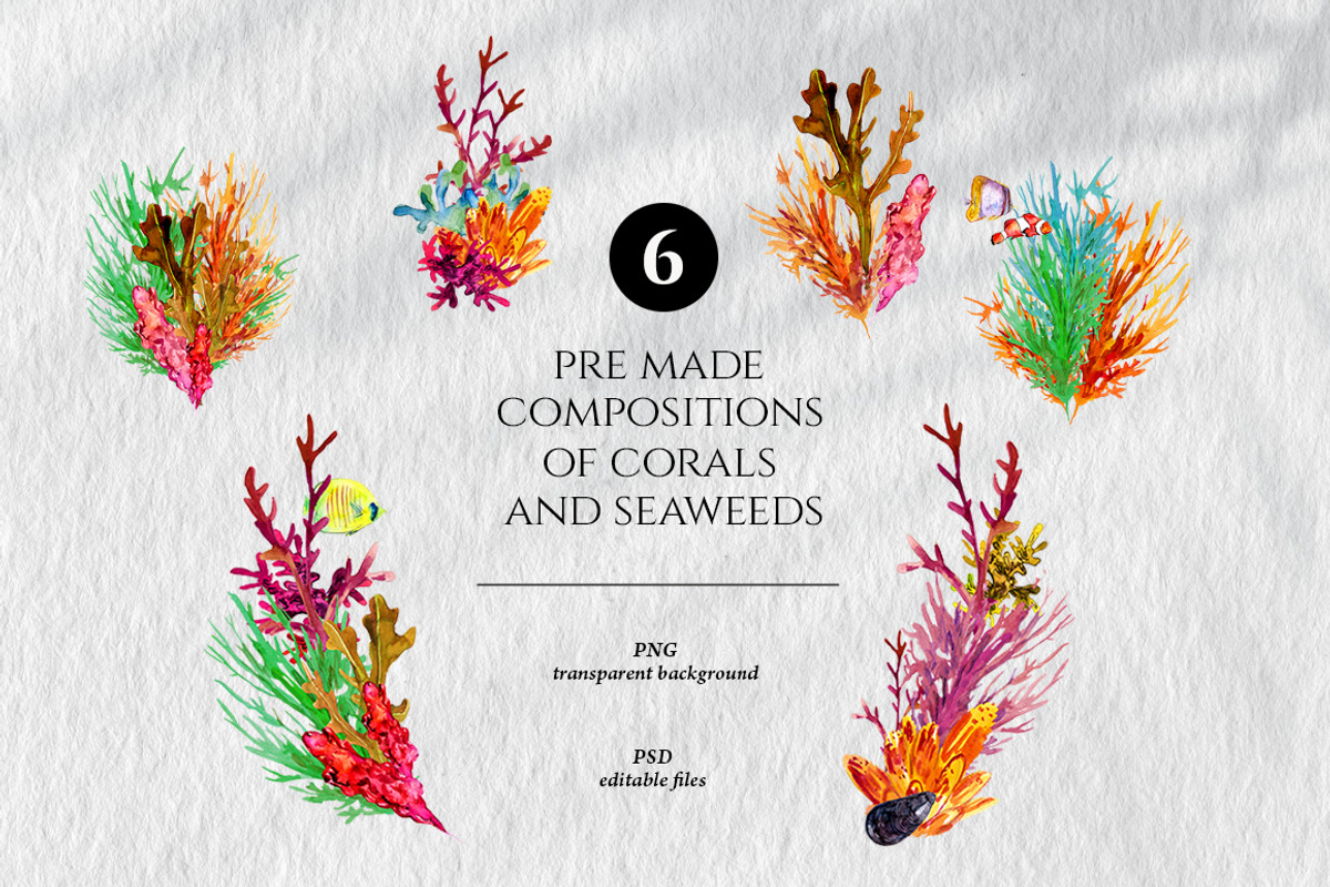 Ocean animals and fish clipart, a Pattern Graphic by ArtSpotVeronika (Photo 6 of 15)