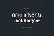 Mangat Lonergan, a Serif Font by Cruzine (Thumbnail 8 of 8)