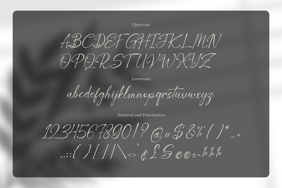 Corlenois Signature | Signature Font, a Script Font by gracetype_studio (Photo 13 of 15)