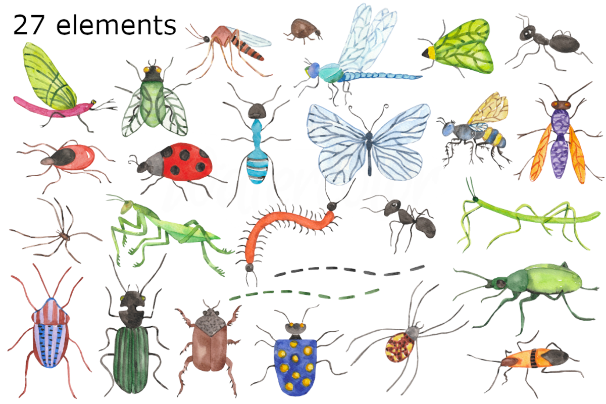 Summer bugs watercolor clip art, a Background Graphic by GoodFairyClipArt (Photo 2 of 2)