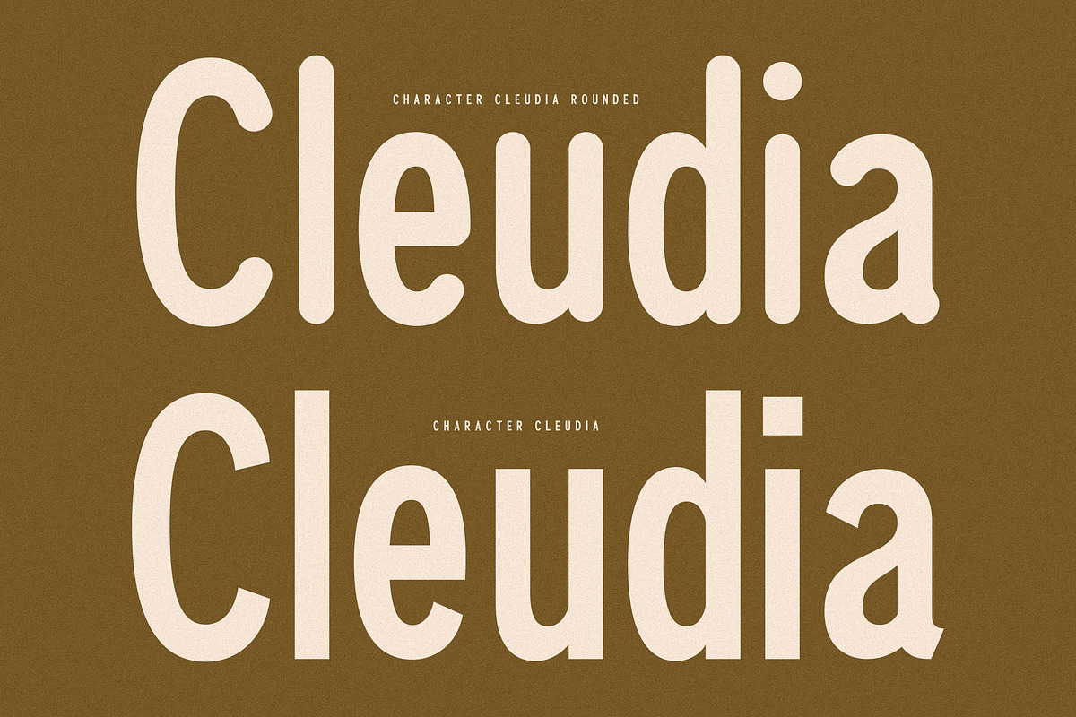 Cleudia Duo Font Sans Serif, a Sans Serif Font by Storytype Studio (Photo 9 of 15)