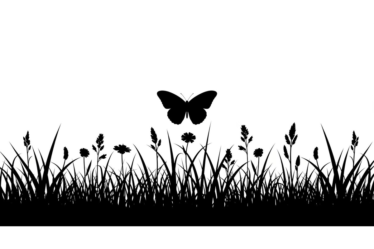 Floral Grass Border Silhouette Bundl, an Illustration by Amazin_art (Photo 23 of 51)