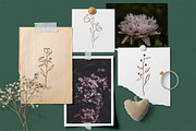 Botanical Line Art Logo, an Illustration by Backyard Rose (Thumbnail 7 of 12)