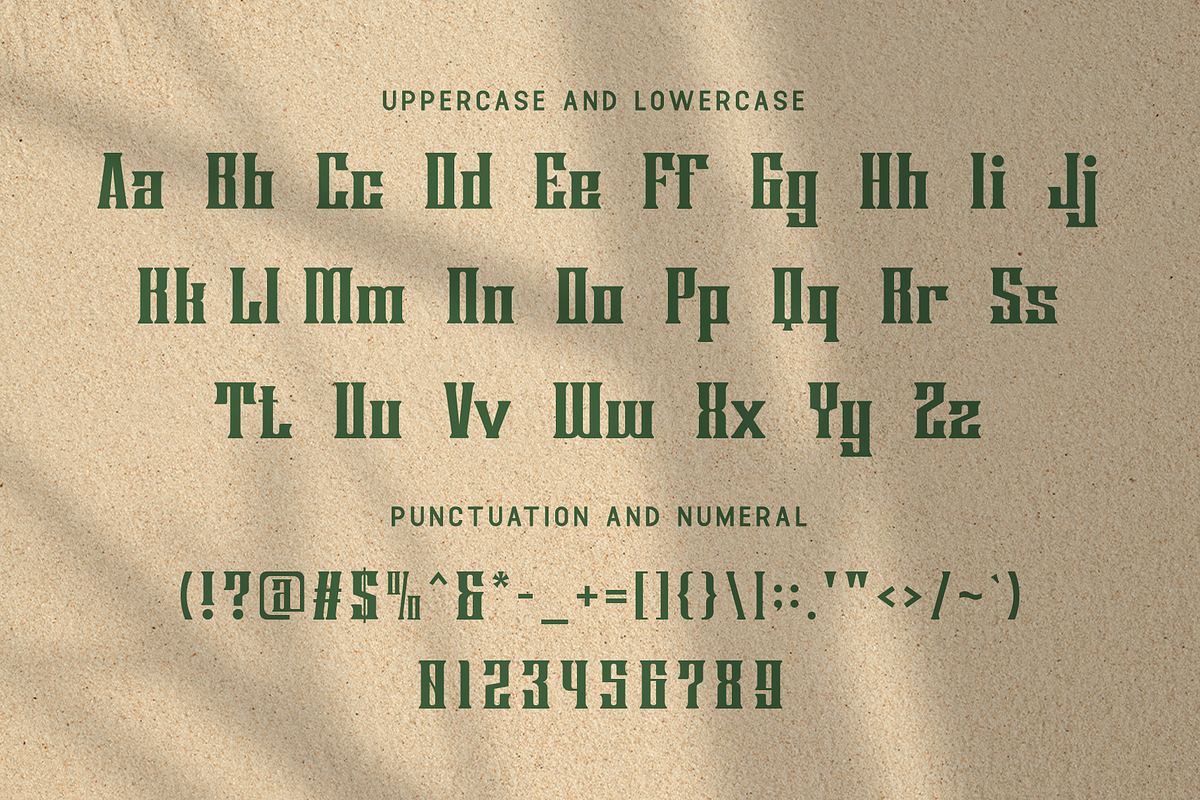 Borgona - Classic Serif Font, a Serif Font by overlaytemplates (Photo 4 of 5)