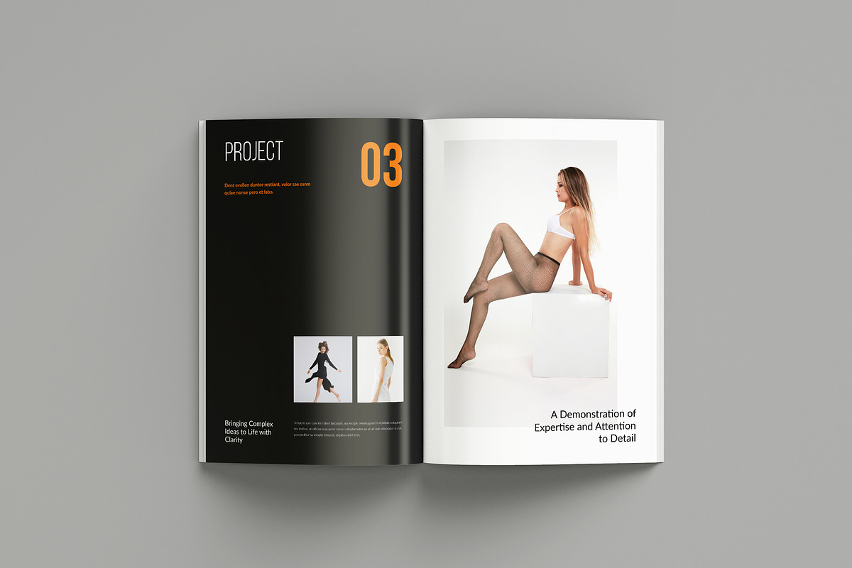 Portfolio Brochure Template, a Brochure Template by Seeing-art (Photo 6 of 11)