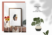 ABSTRACT BUNDLE - woman, flowers, a Person Illustration by Spark Studio Brushes (Thumbnail 24 of 25)