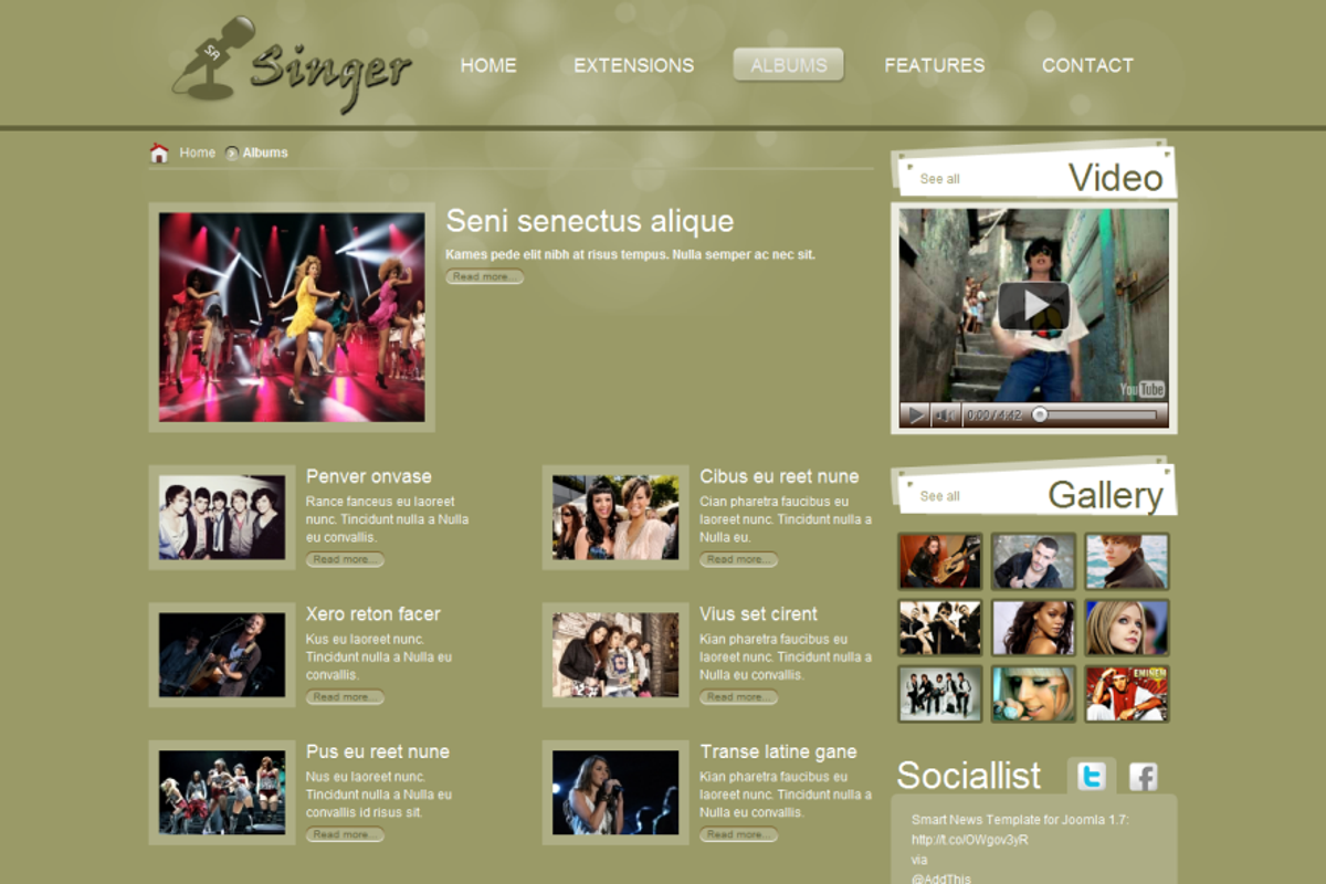 SJ Singer - A conspicuous template, a Websites & App Template by YouTech (Photo 2 of 5)