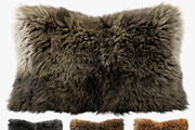 Collection of 38 fur pillows, an Object 3D Model by 3dmitruk (Thumbnail 4 of 112)