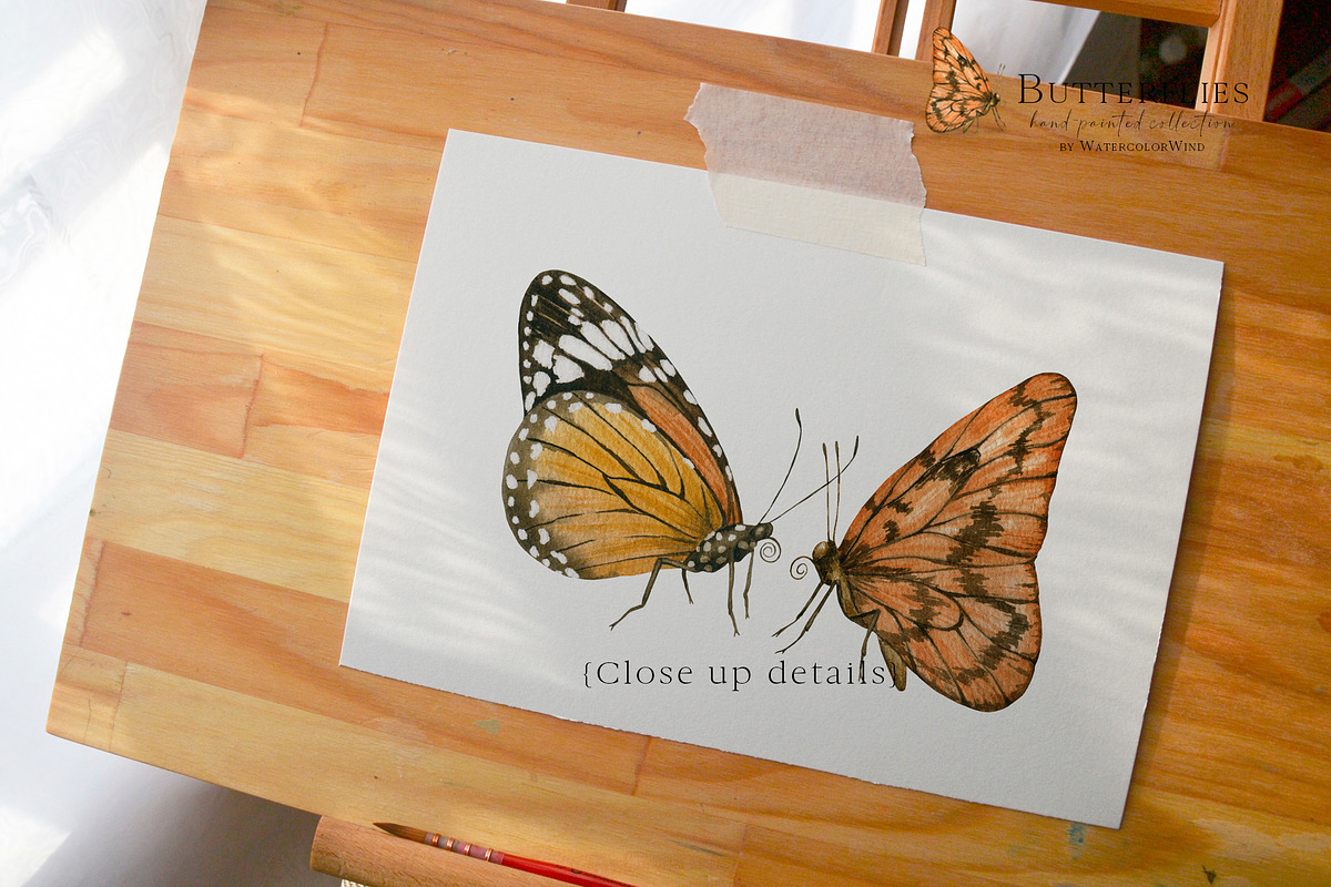 Watercolor Butterfly Clipart, an Illustration by Ksenia Shmakova (Photo 10 of 10)