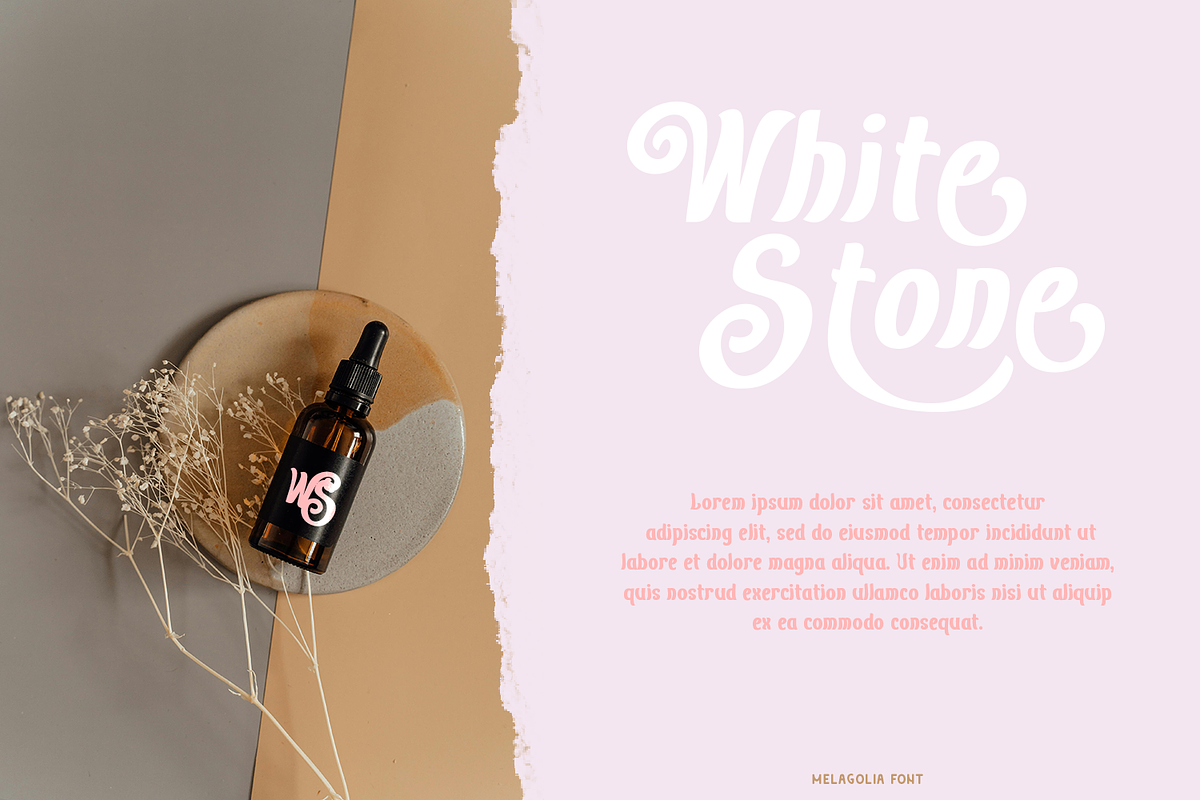 Melagolia Retro Script, a Script Font by madeDeduk (Photo 8 of 10)